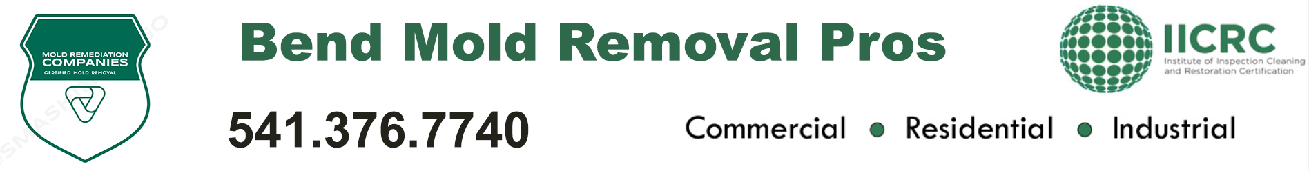Bend Mold Removal Pros