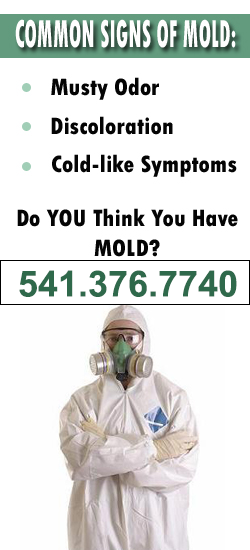 Bend Mold Remediation Contractor